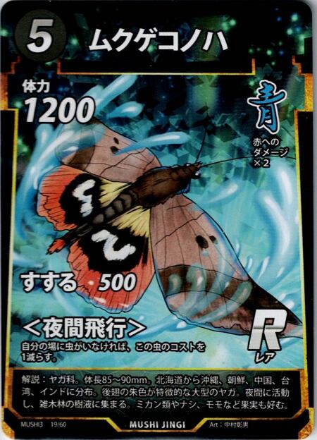 MUSHI3-19 ムクゲコノハ R