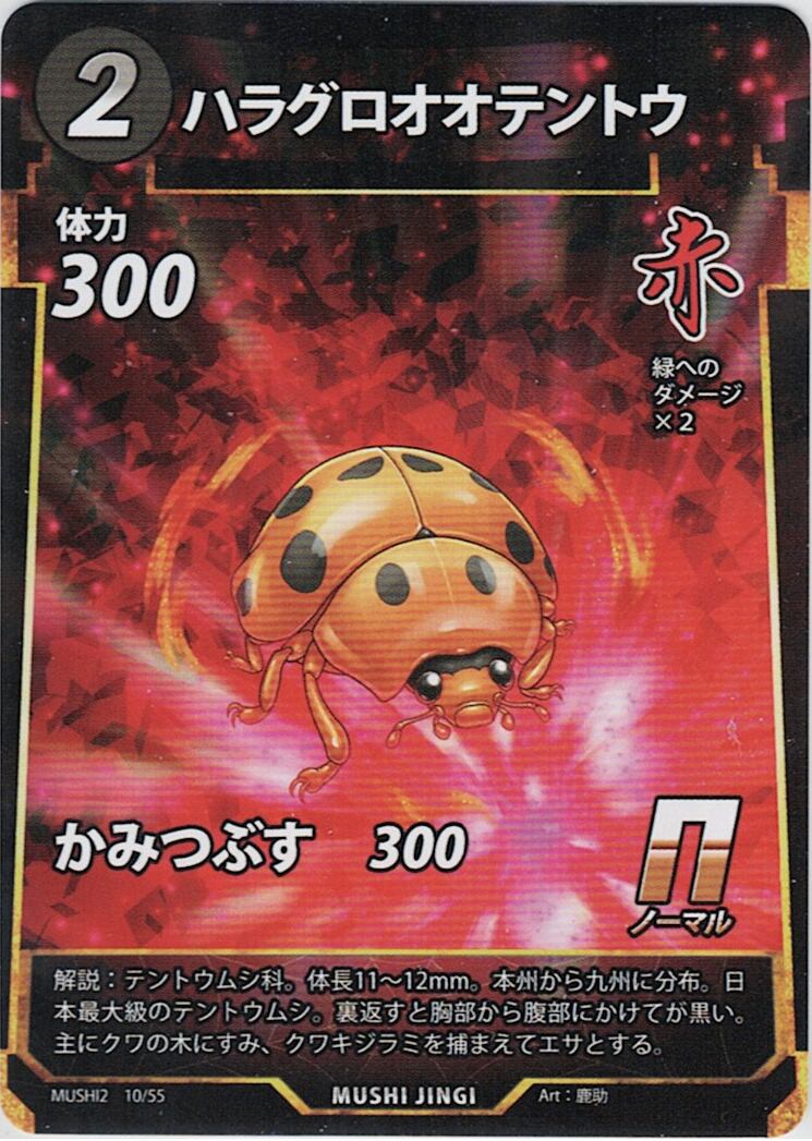 MUSHI2-10 ハラグロオオテントウ N