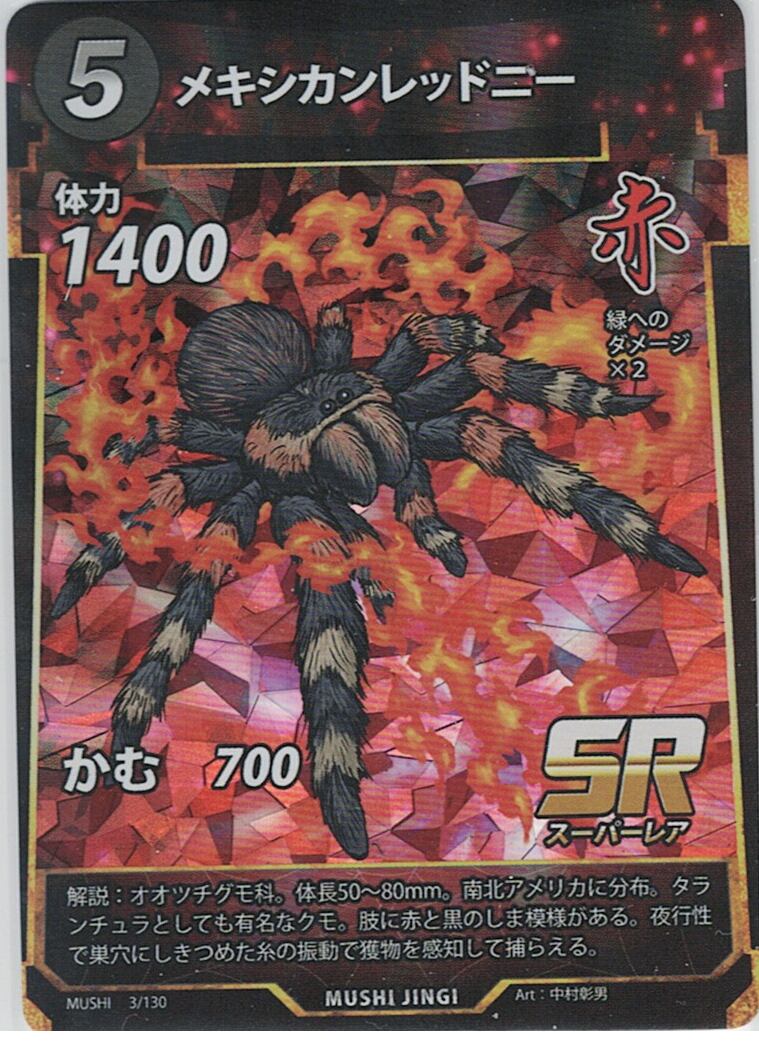 MUSHI1-3 メキシカンレッドニー SR