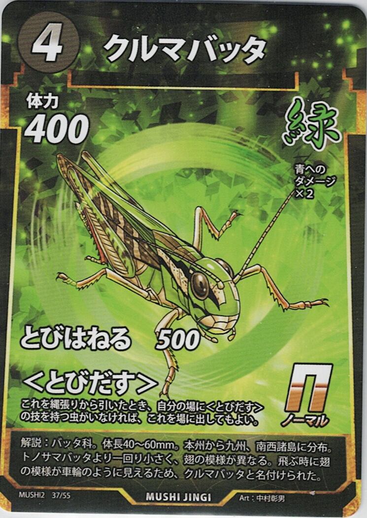 MUSHI2-37 クルマバッタ N