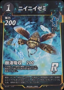 MUSHI5-27 ニイニイゼミ R