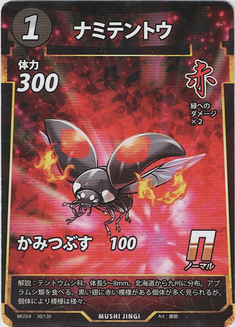 MUSHI1-30 ナミテントウ N