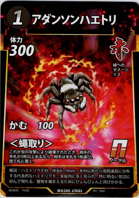 MUSHI3-15 ハダンソンハエトリ N