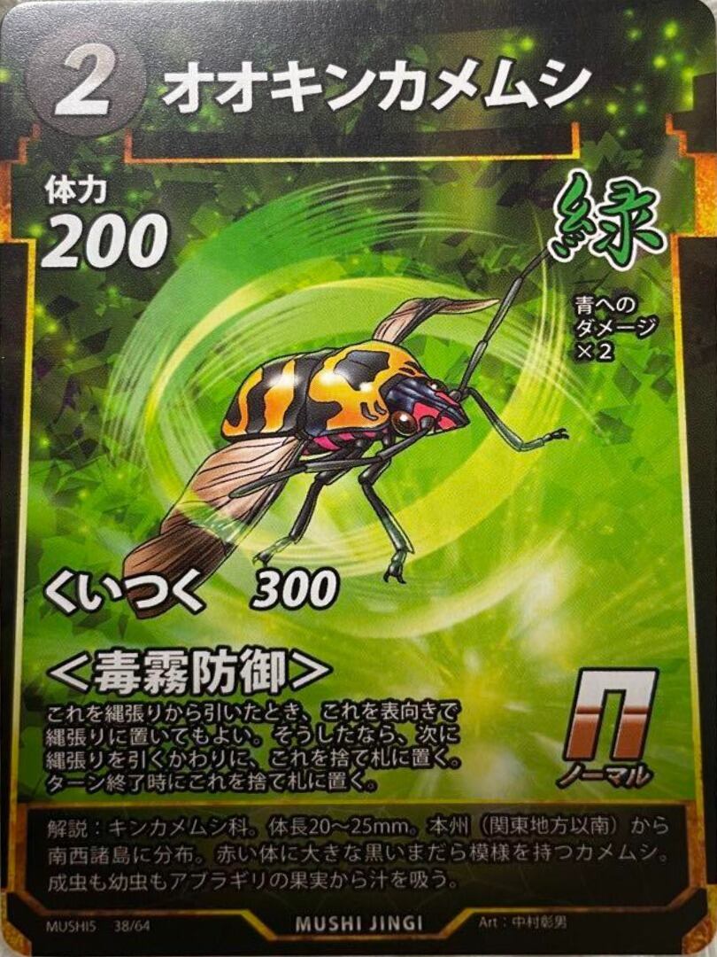 MUSHI5-38 オオキンカメムシ N