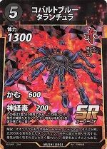 MUSHI4-2コバルトブルータランチュラSR