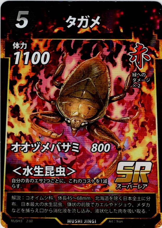 MUSHI3-2 タガメ SR