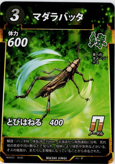 MUSHI3-36 マダラバッタ N