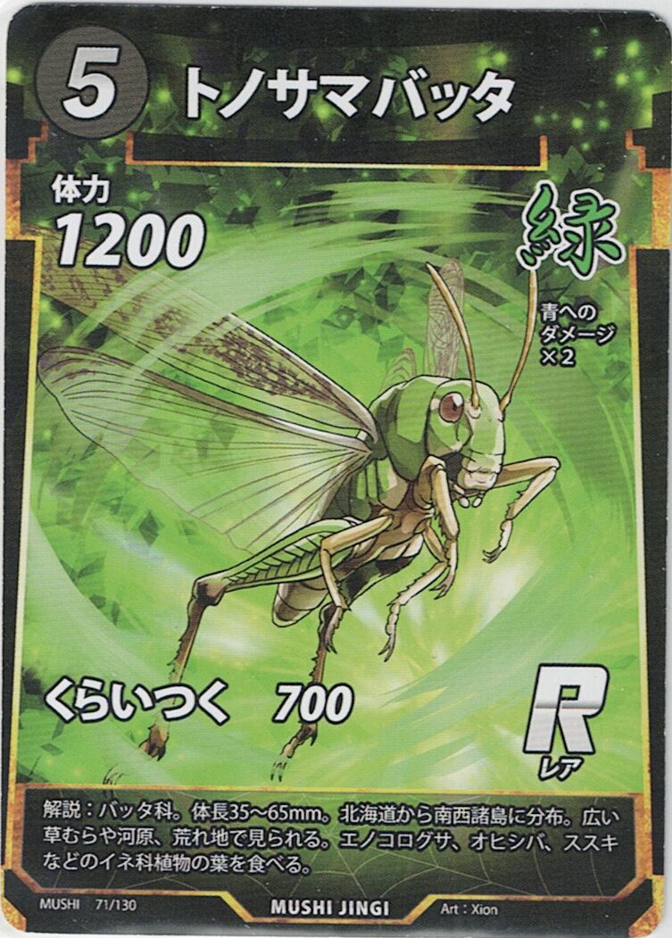 MUSHI1-71 トノサマバッタ R