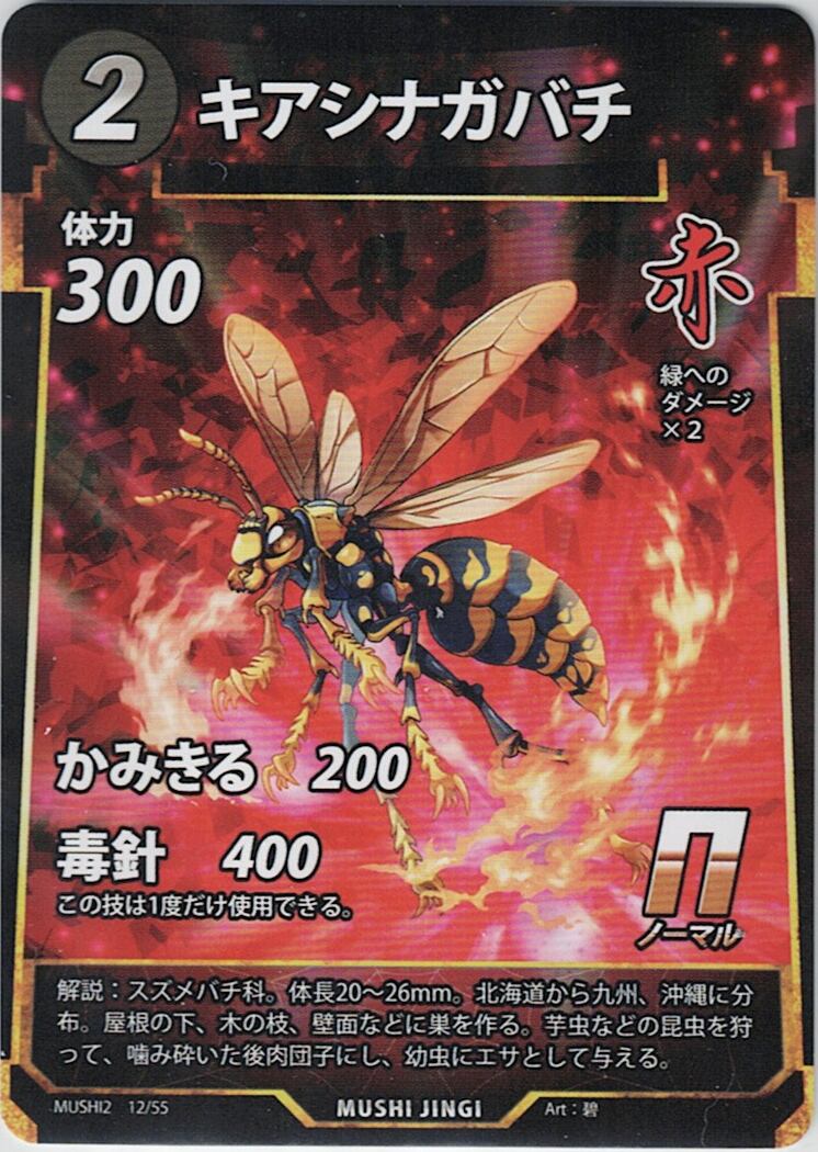 MUSHI2-12 キアシナガバチ N
