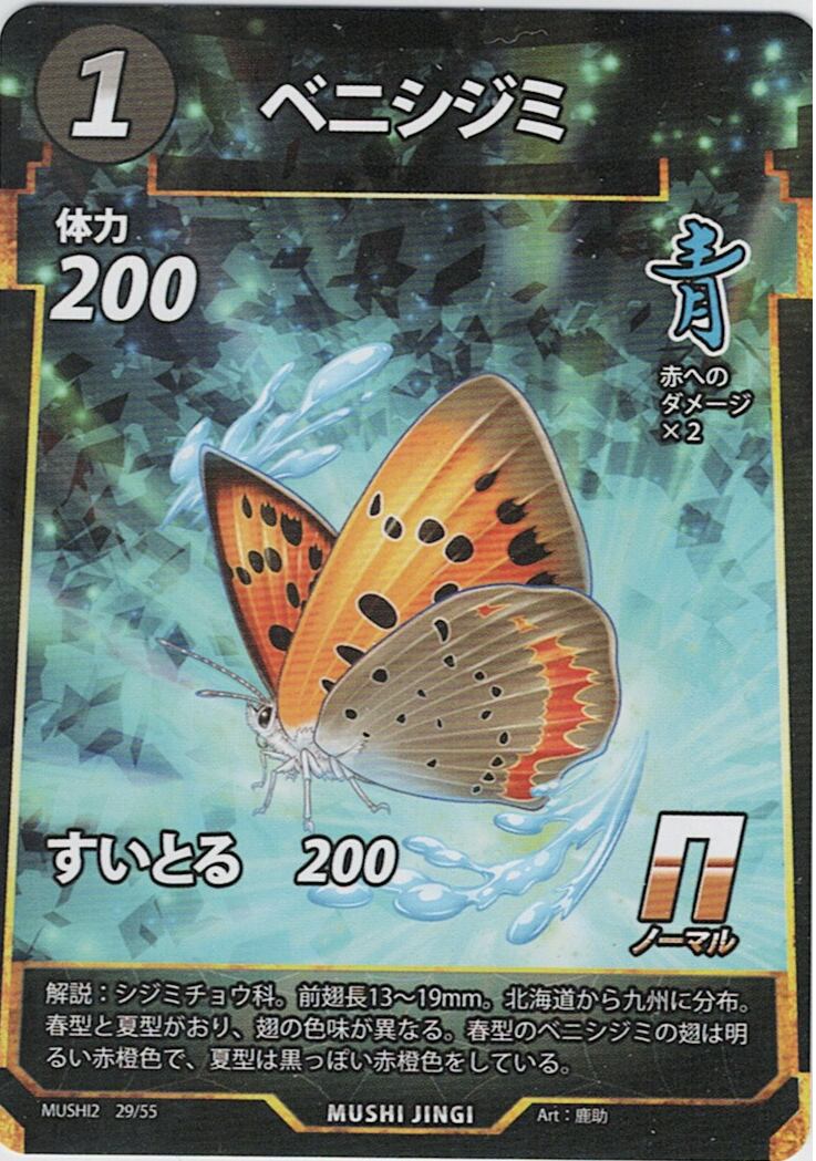 MUSHI2-29 ベニシジミ N