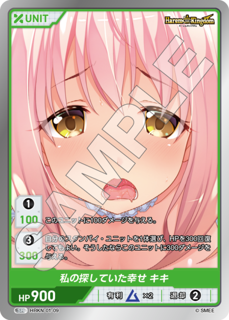 HRKN-01-09 SR 私の探していた幸せ　キキ