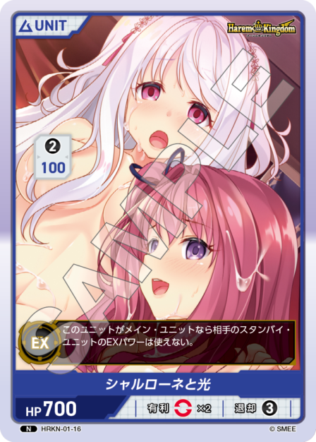 HRKN-01-16 N シャルローネと光