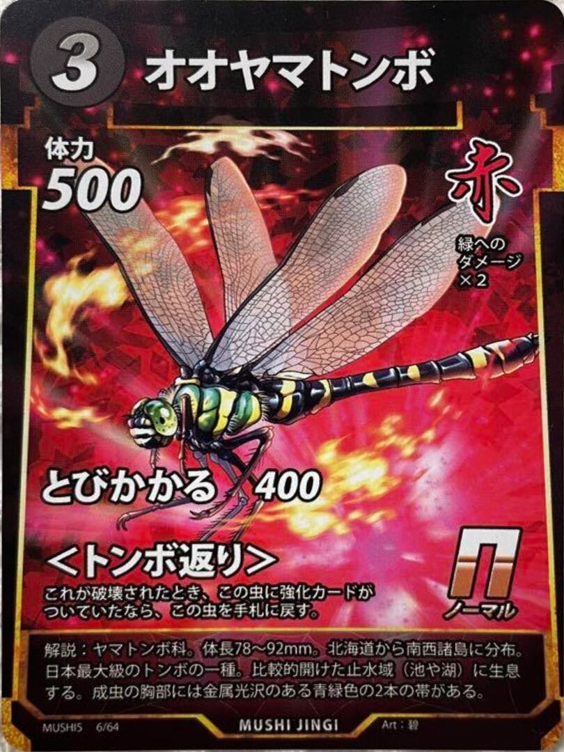 MUSHI5-06 オオヤマトンボ N