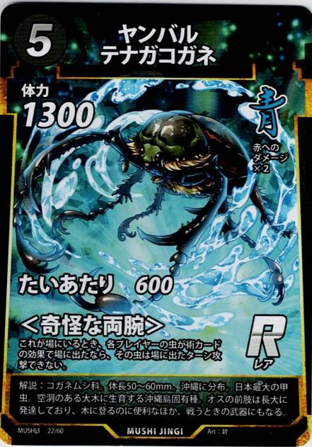 MUSHI3-22 ヤンバルテナガコガネ R