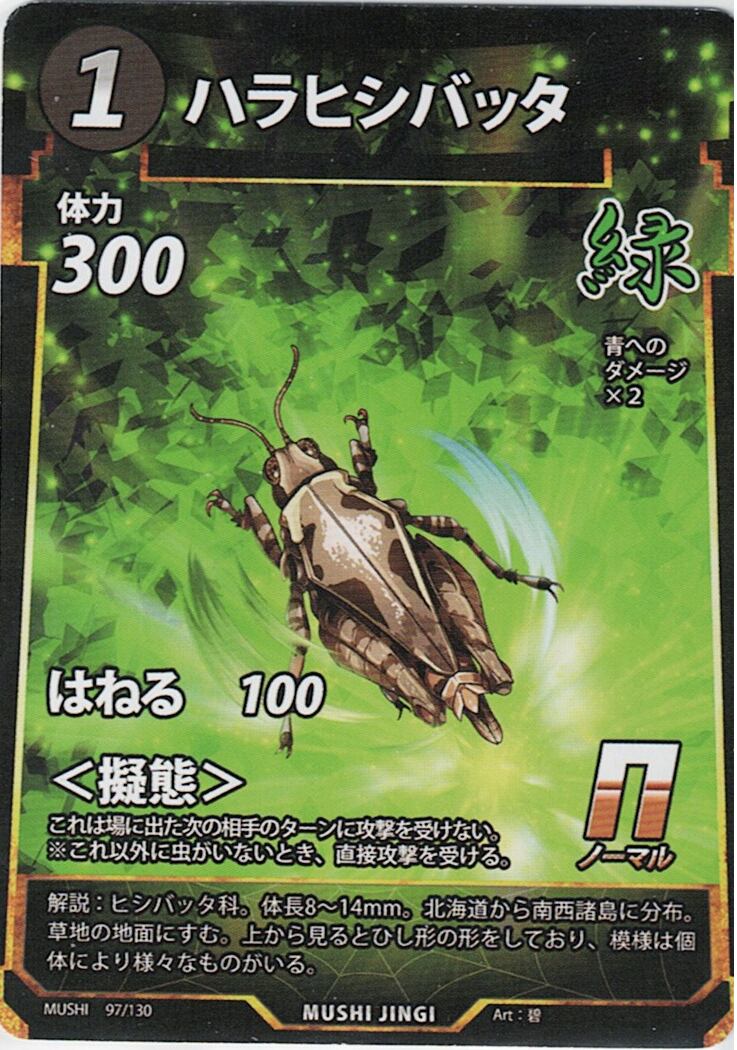 MUSHI1-97 ハラヒシバッタ N