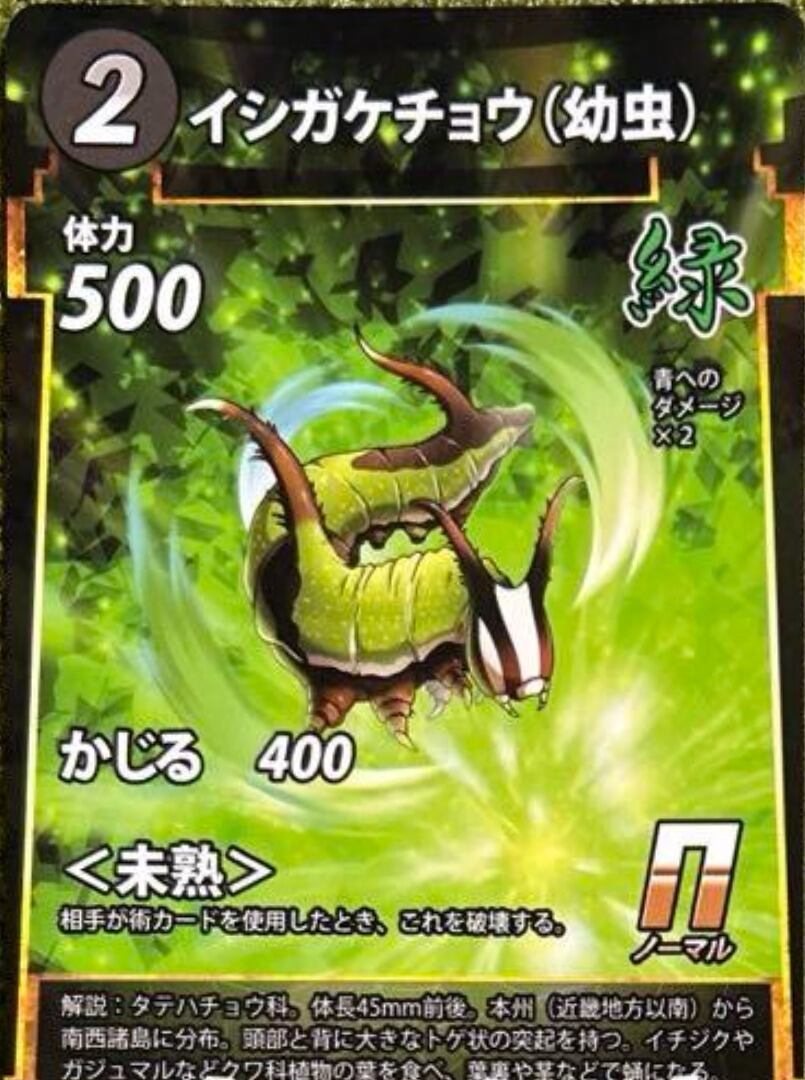 MUSHI5-37 イシガケチョウ N