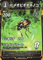 MUSHI4-41ヒメオビオオキノコR