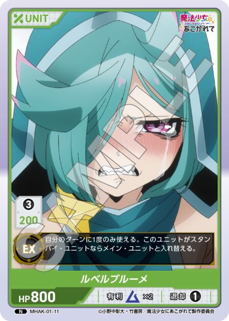 MHAK-01-11 N ルベルブルーメ