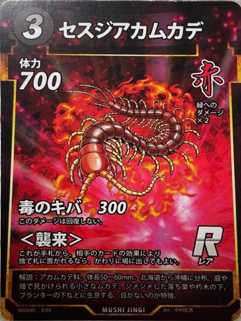 MUSHI5-08 セスジアカムカデ R