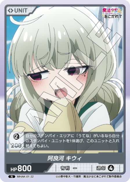 MHAK-01-22 N 阿良河　キウィ