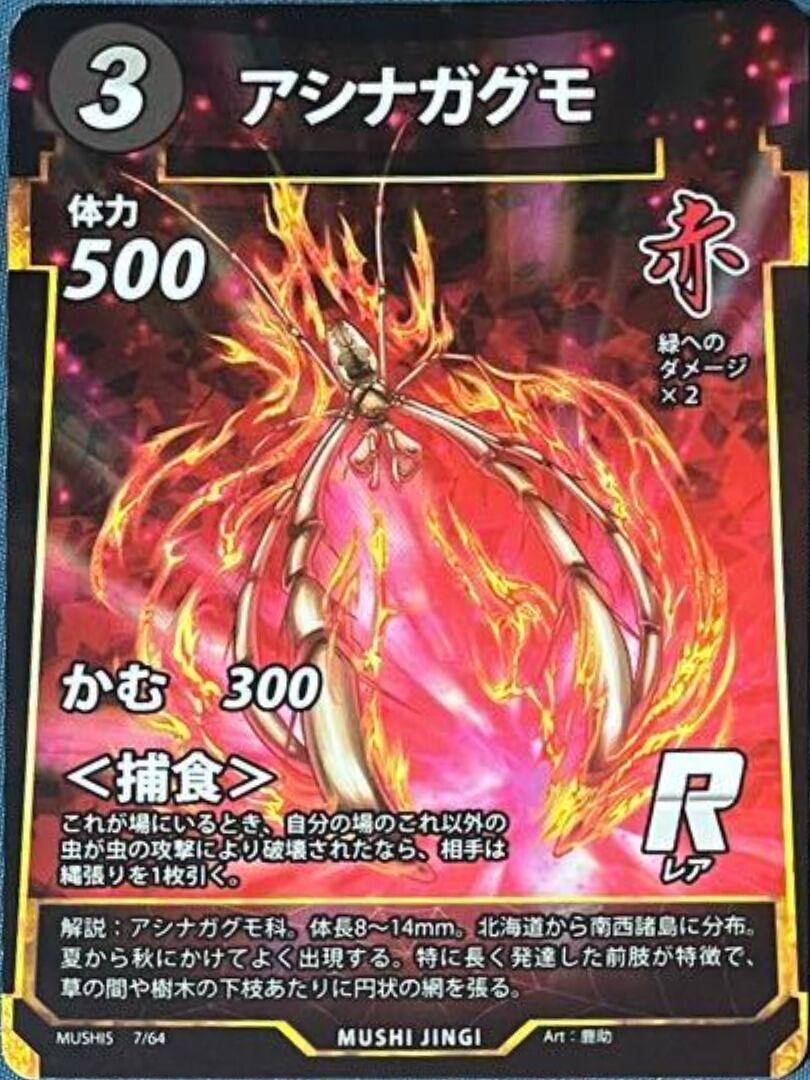 MUSHI5-07 アシナガグモ R