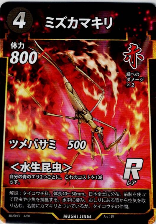 MUSHI3-4 ミズカマキリ R