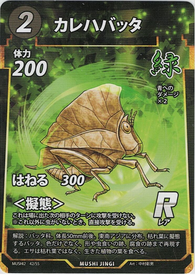MUSHI2-42 カレハバッタ R