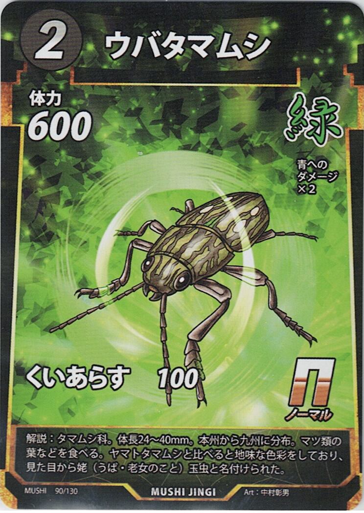 MUSHI1-90 ウバタマムシ N