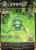 MUSHI4-35アオタマムシN