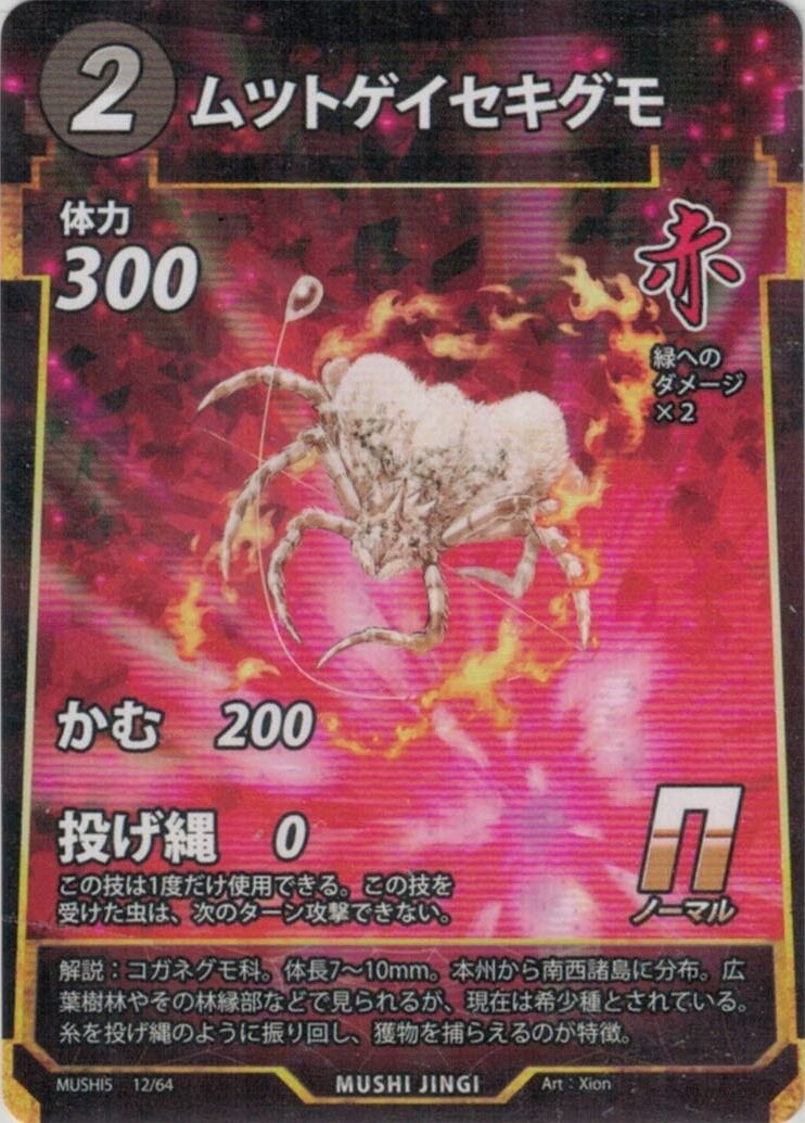 MUSHI5-12 ムツトゲイセキグモ N