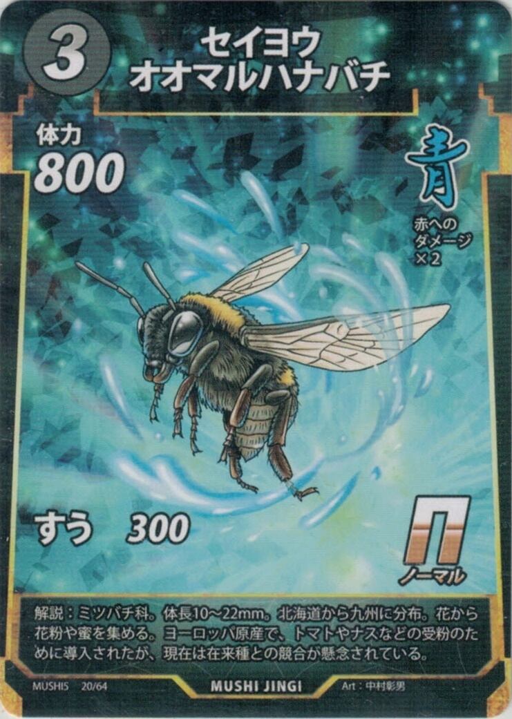 MUSHI5-20 セイヨウオオマルハナバチ N