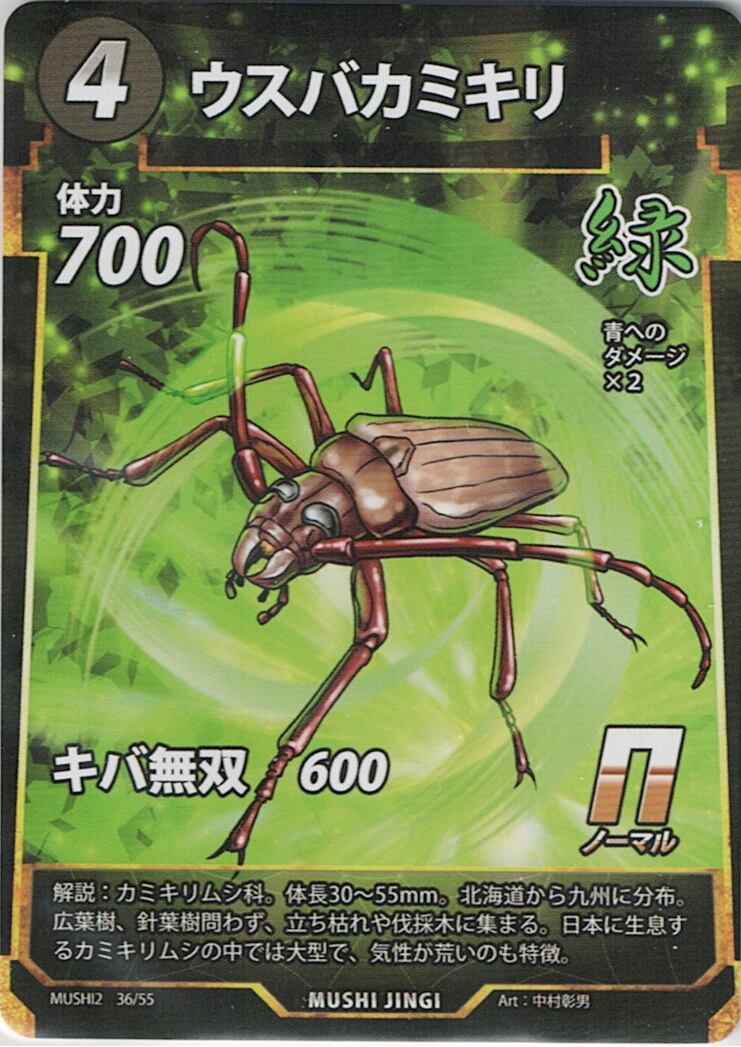 MUSHI2-36 ウスバカミキリ N