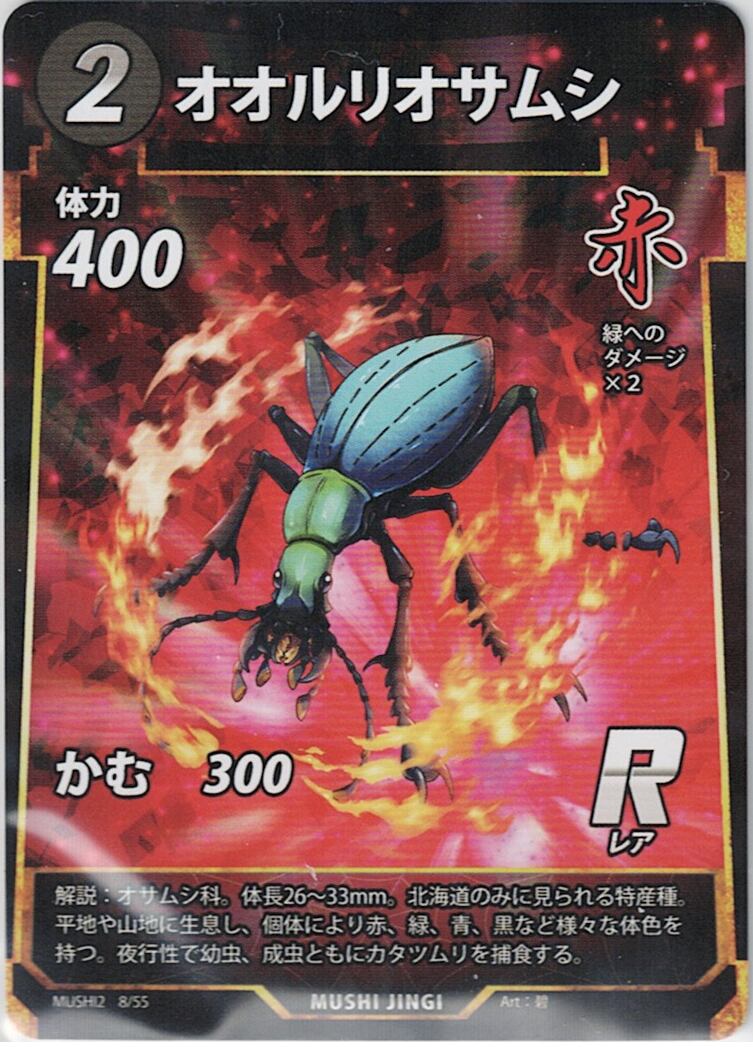 MUSHI2-8 オオルリオサムシ R