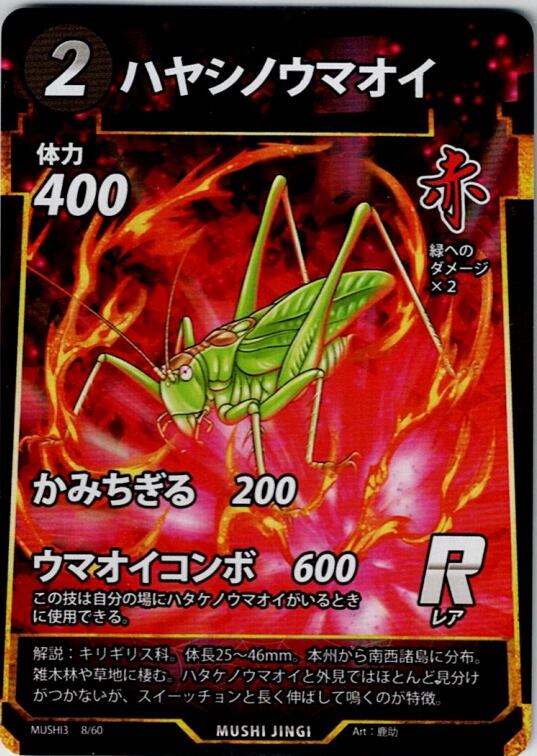 MUSHI3-8 ハヤシノウマオイ R