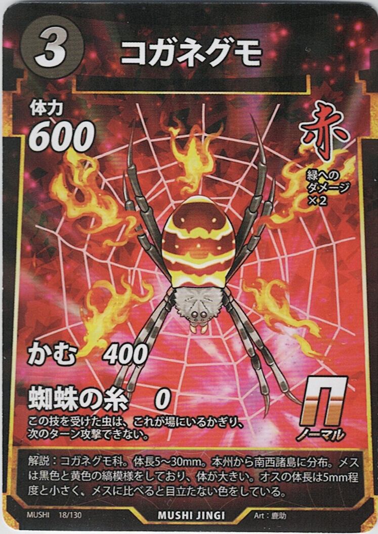 MUSHI1-18 コガネグモ N