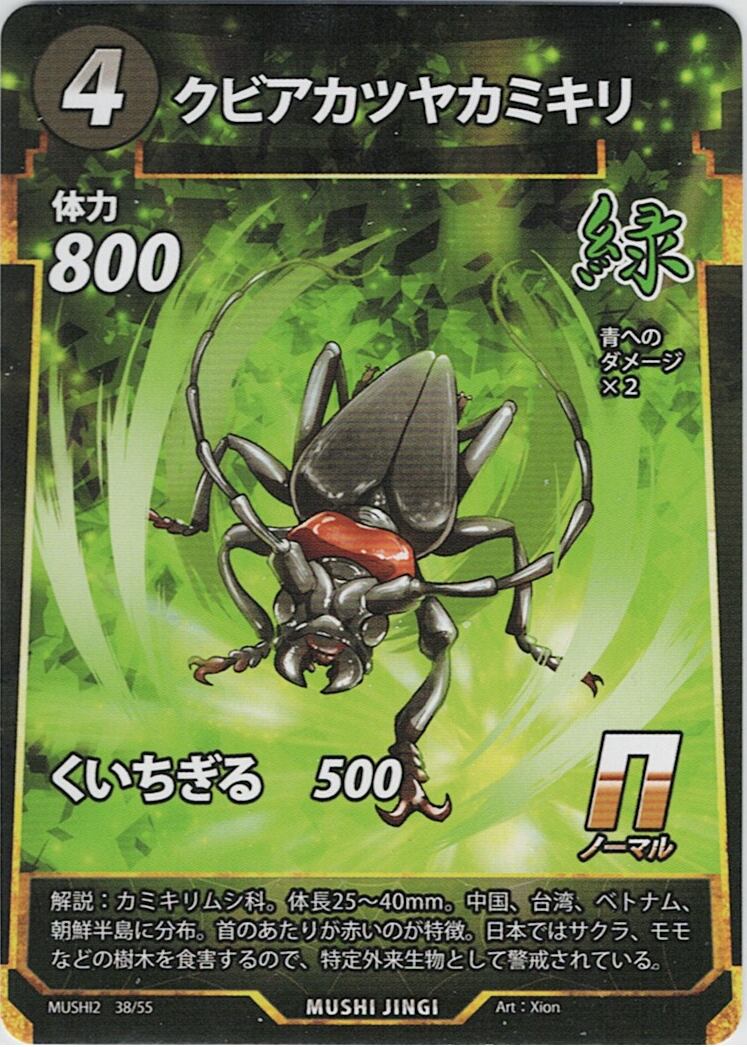 MUSHI2-38 クビアカツヤカミキリ N