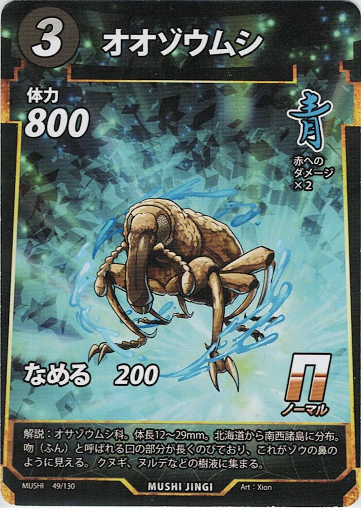 MUSHI1-49 オオゾウムシ N