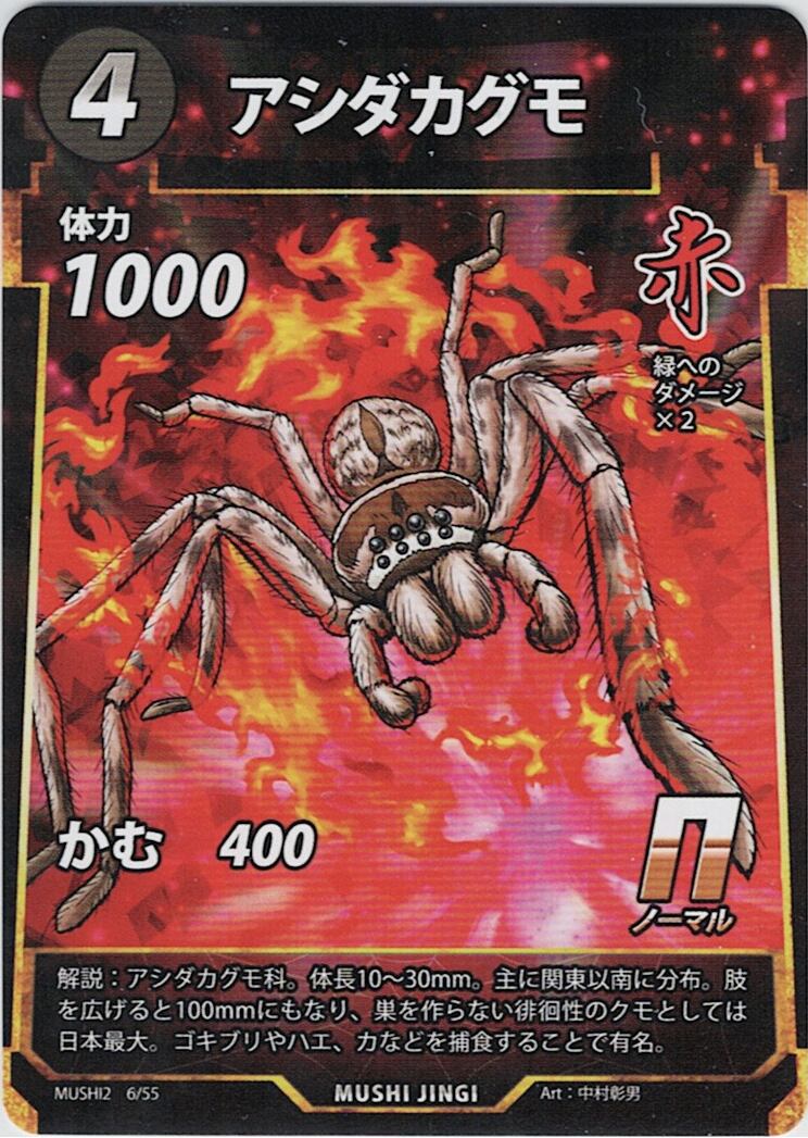 MUSHI2-6 アシダカグモ N