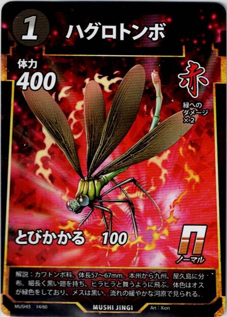 MUSHI3-14 ハグロトンボ N