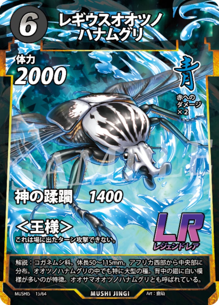 MUSHI5-15 レギウスオオツノハナムグリ LR