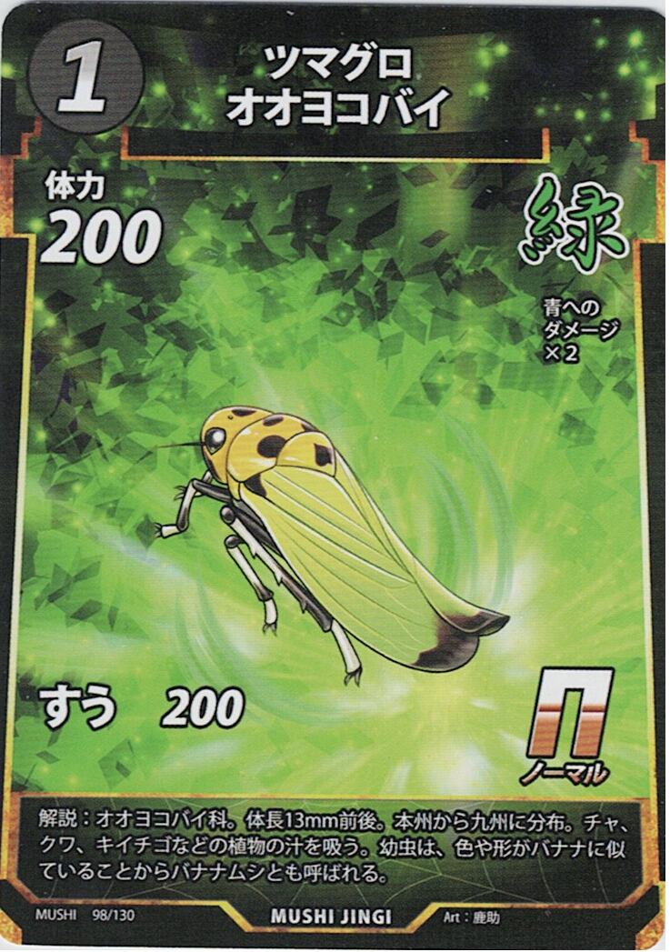 MUSHI1-98 ツマグロオオヨコバイ N