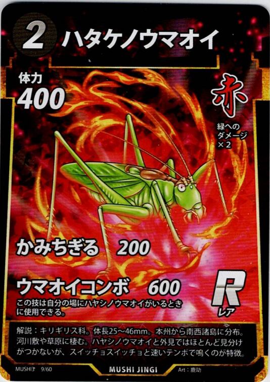MUSHI3-9 ハタケノウマオイ R
