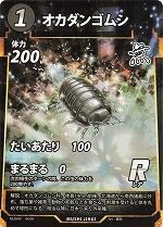 MUSHI4-44オオダンゴムシR