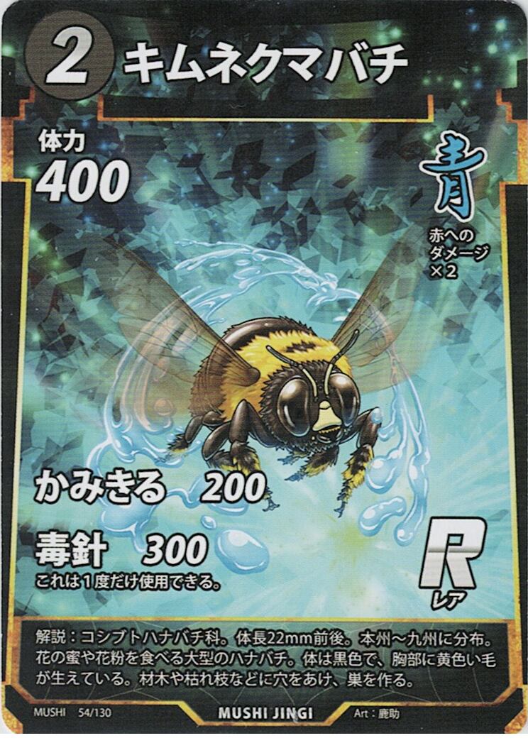 MUSHI1-54 キムネクマバチ R