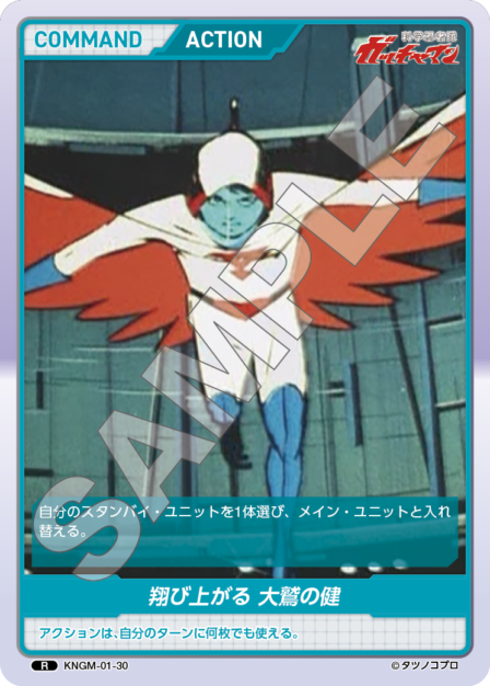 KNGM-01-30 R 翔び上がる 大鷲の健
